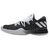 Кроссовки Harden B/E Black White Unisex Core-Black Footwear-White CG4196