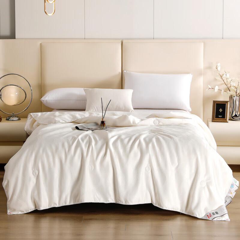 

Givenya Elegant Satin Jacquard Silk Quilt