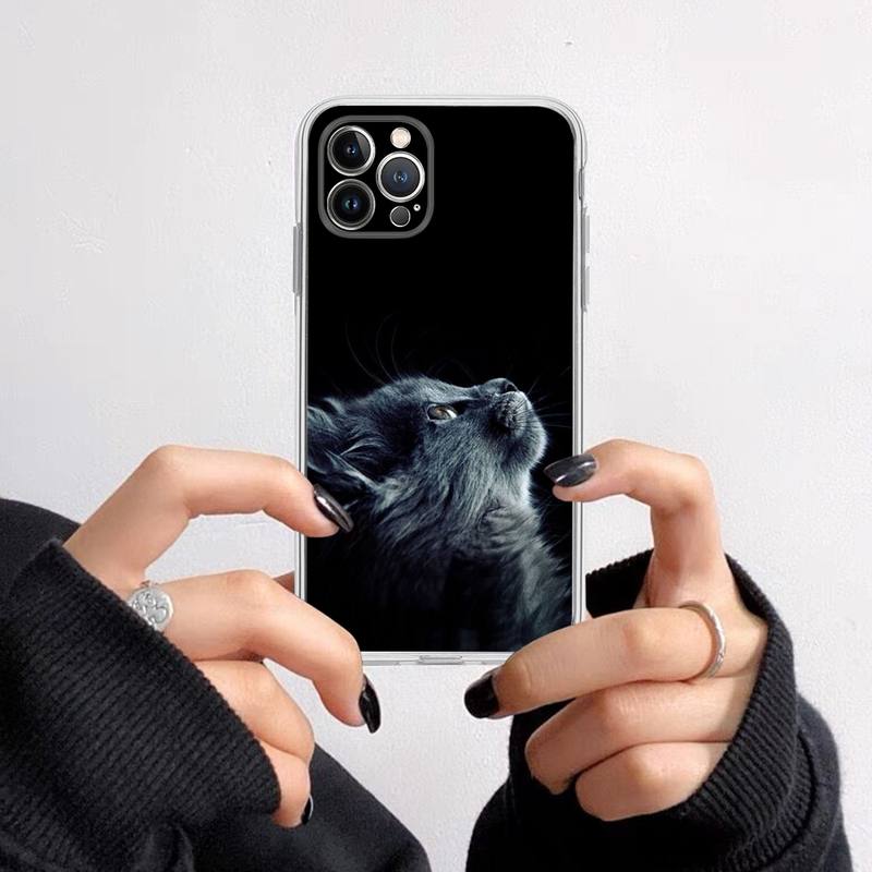 Black Cat Staring Eye Phone Case For iPhone 14 13 12 11 Pro Max XS X XR SE 2020 6 7 8 Plus Mini Transparent Shell