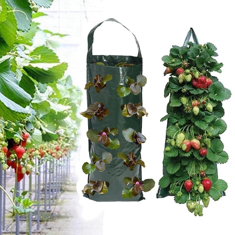 10Hole Grow Bag Strawberry Potatoes Tomatoes Planting Bag Home Garden Seeding Bag Flower Plant Holder Garden Accessories