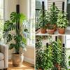 Ventilate Climbing Plant Stand Plastic Potted Plant Holder Plant Support Bracket  Indoor Plant Use