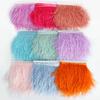 2M Color Ostrich Hair Cloth Edge 10-15Cm Stage Dress Dance Dress Skirt Clothing Accessories Feather Lace