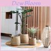 Woven Grass Planter Pot With Breathable Design For Living Room Decor Large Size