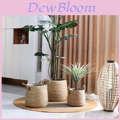 Woven Grass Planter Pot With Breathable Design For Living Room Decor Large Size