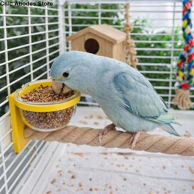 Uccelli – Distributori di cibo e acqua per uccelli