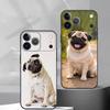 Huse pentru telefoane – Huse tip bumper pentru telefon