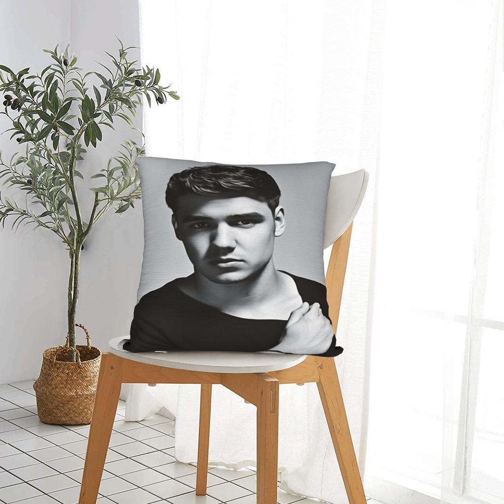 L-Liam Payne Sänger Kissenbezug Weiche Kissenhülle Moderne Kissenbezüge für Wohnzimmerstuhl