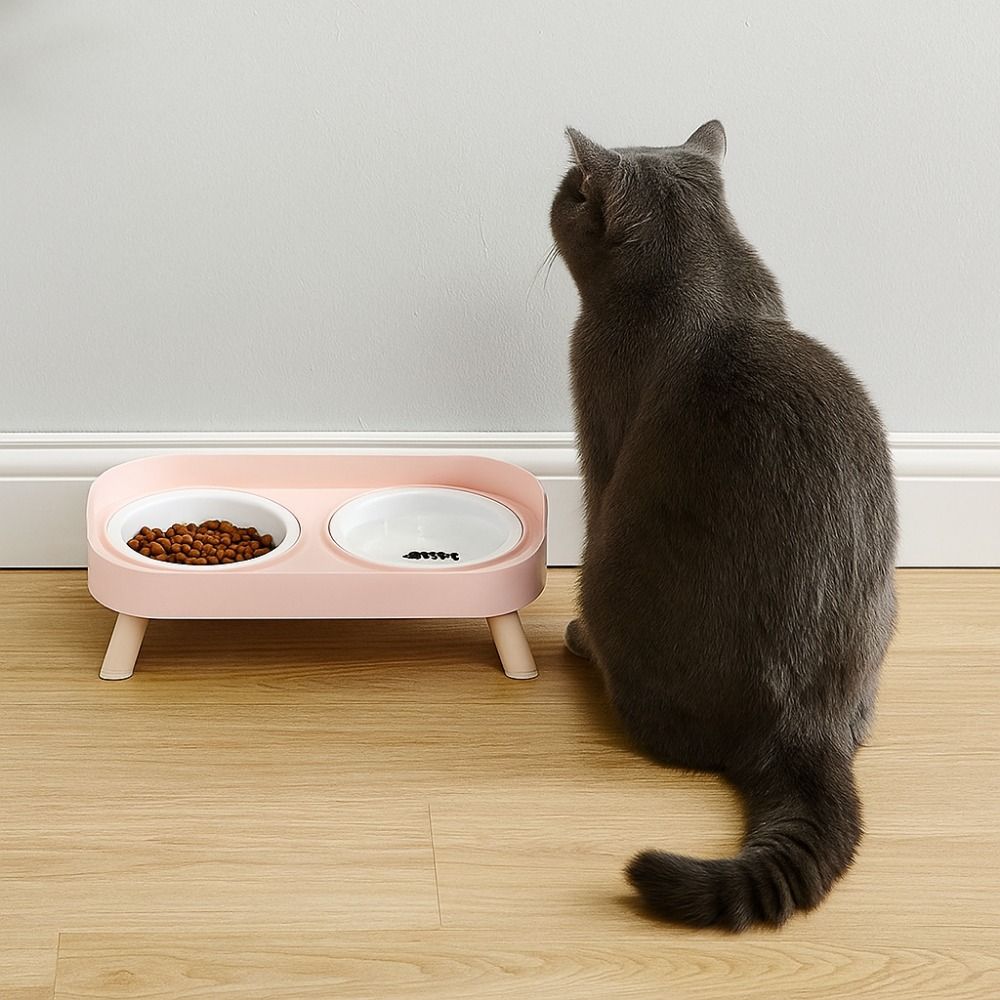 Ceramic Double Cat Bowl Large Capacity Anti-Spill Elevated Dog Bowl Cervical Protection with Stand Pet Food Water Feeder
