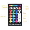 RGBW LED Fiber Optic Light Double Head Fiber Optic Star Ceiling Light Kit Bluetooth Car Roof Star Light Starry Sky Light