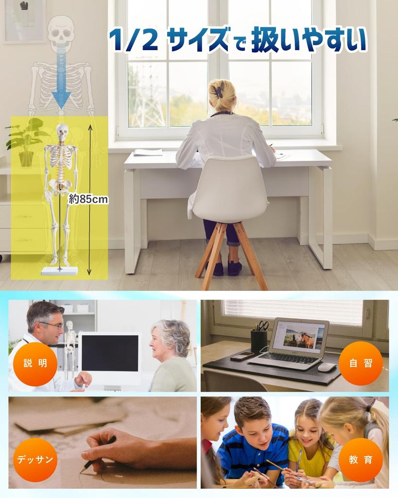 KIYOMARU Realistic and Reproducible Size Full Body Skeleton Human Body Bone Supervised by a Physical Approximately Skeletal Skeleton Movable Large