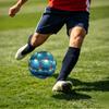 1pc Underwater Paradise Theme Soccer Ball Football, Size 5, Lightweight PVC, Outdoor Training Soccer Ball,Sports Gift t61481