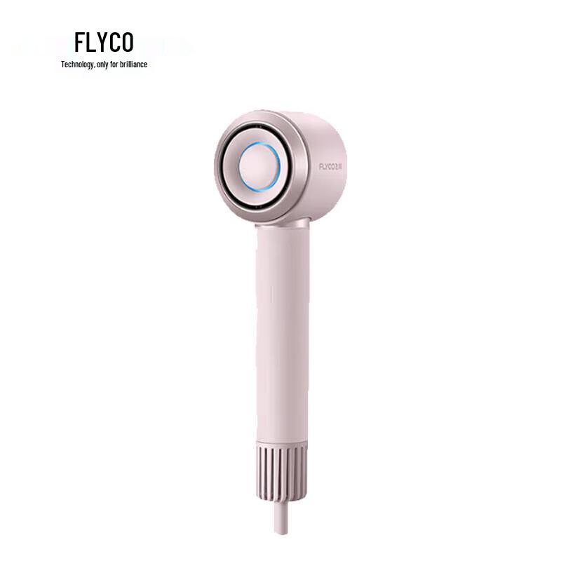FLYCO High-Speed Ionic Hair Dryer FH6371 CN plug (adapter included)