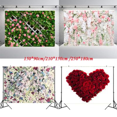 Růže květina stěna pozadí svatební narozeniny květinové téma strana pozadí