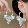 Tide Metal Fringed Earrings, High-end Temperament, Long Stud Earrings, Women's Exaggerated Earrings.