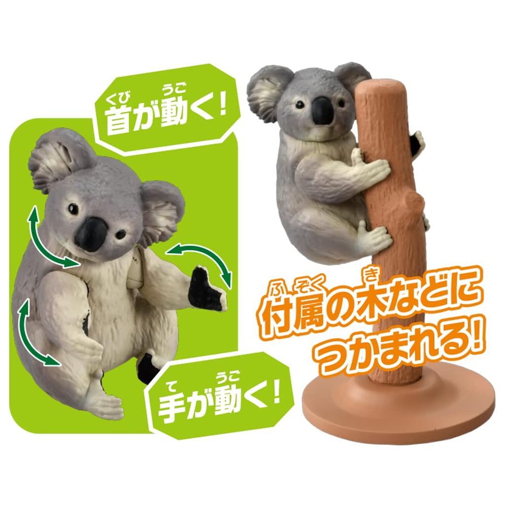 TAKARA TOMY Ania Koala Animal Dinosaur Toy for Ages 3 and Up AS-24 (Catchable Version)