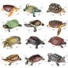 AAGWW 12-Style Animal Model Set, Amphibian Reptile Turtle Decorations, ChristmasNew Year Gift, Kids Toy (Realistic Turtle Model)