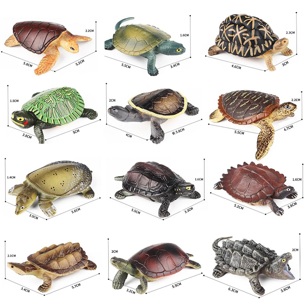 AAGWW 12-Style Animal Model Set, Amphibian Reptile Turtle Decorations, ChristmasNew Year Gift, Kids Toy (Realistic Turtle Model)