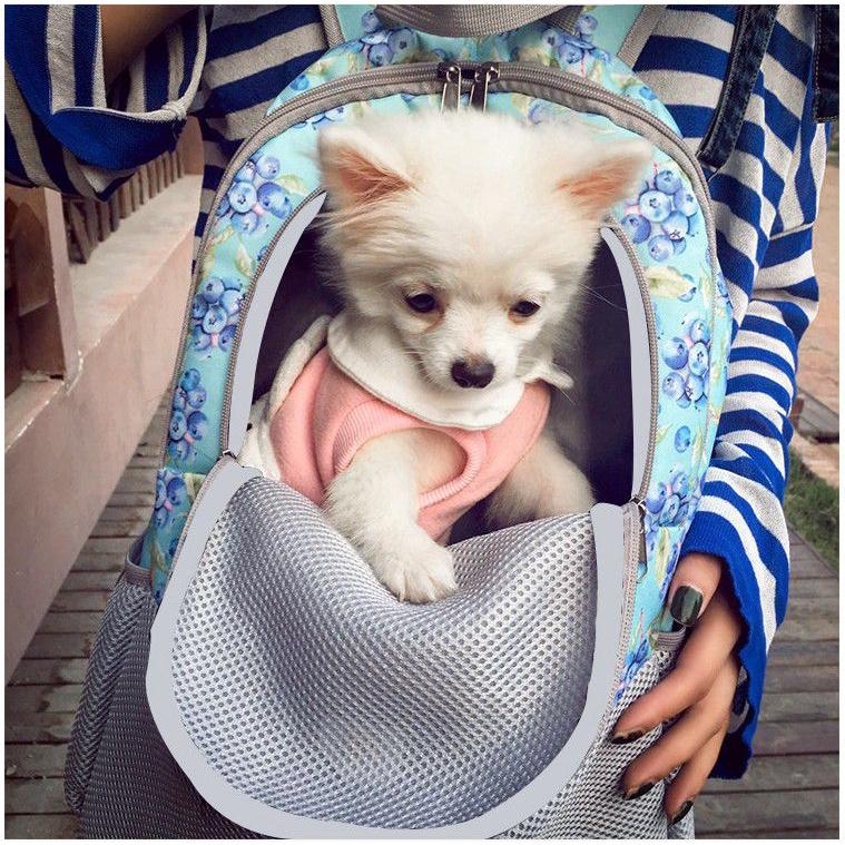 Transportín Premium Transpirable para Mascotas para Perros Pequeños, Gatos y Cachorros con Diseño Ajustable