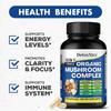 Mushroom Supplements: Hericium Erinaceus, Cordyceps Sinensis, Ganoderma Lucidum, Brain Capsules, 120 Capsules