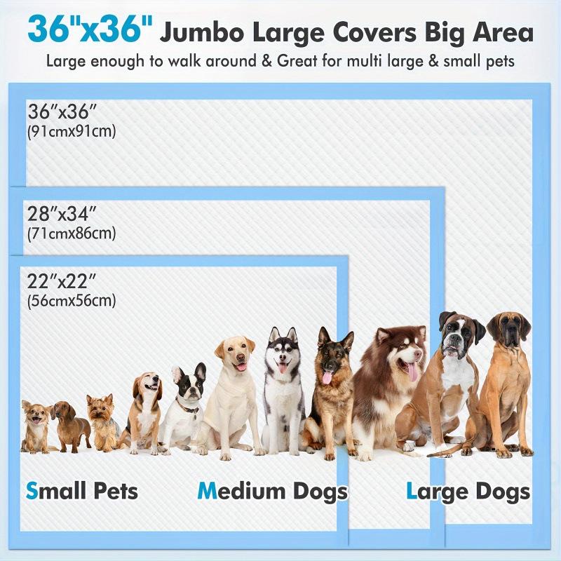 2025 Absorbent Dog Mat for Dropshipping