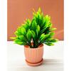 Plastic 6 Packs Fake Plants Small,Mini Artificial Plants Indoor For Home Farmhouse Bathroom Shelf Décor(Height : 17Cm,Pink)