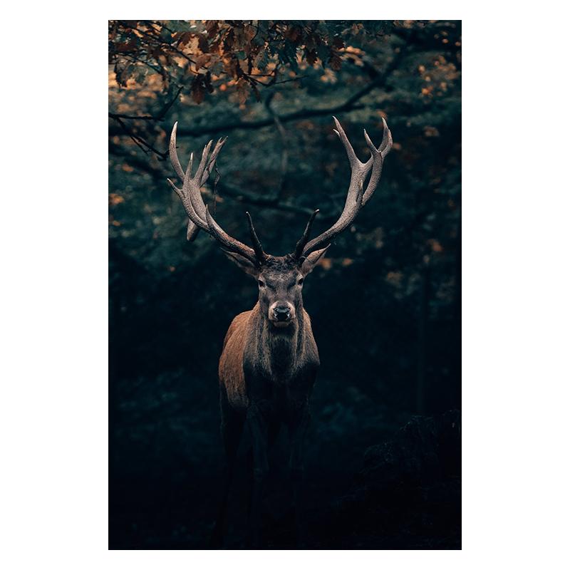 Schwarzes Hirsch Gemälde Druck Leinwand Poster Modern Minimalistisch Wandkunst Tierporträt Dunkle Bilder für Wohnzimmer Heim Wanddeko