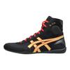 Dan Gable Evo 3