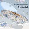 Accesorii – Umbrele