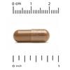 California Gold Nutrition, Rhodiola Extract, 500 Mg, 60 Veggie Capsules