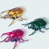 Gold/Green Wind Up Beetle Toys Cartoon  Lovely   Kids Gift