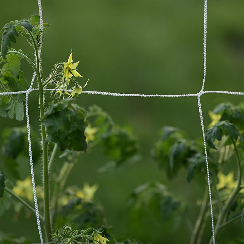 Horolezecká síť na zahradní rostliny Těžký polyester Morning Glory Vine Horolezecká síť Hydroponická síť na zahradu Síť na růst rostlin Podpora mřížky Síťovina Zahradní nářadí