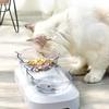 Elevated Cats Bowl 15° Slanted Plastic Double Bowls Stand Set for Cats and Pu