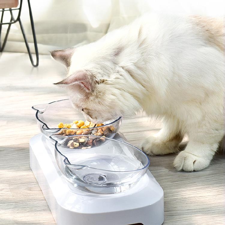Elevated Cats Bowl 15° Slanted Plastic Double Bowls Stand Set for Cats and Pu