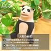 Pole Pole Djurartiklar Panda Panda Handgjord Träsnideri Prydnad Handgjord