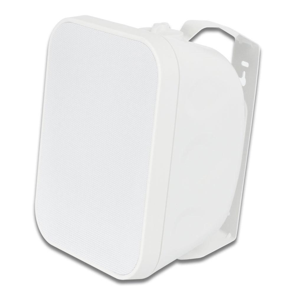Tianlai 5.25" Outdoor Waterproof Hi-Fi Passive Speaker