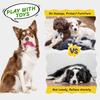 Pet Soft Dog Toys Squeaky - 6 Pack Cute Puppy Toys Plush Animals, No Stuffed Dog Chew Toys Dog Toys Interactive Pet for Small, Medium and Large Dogs