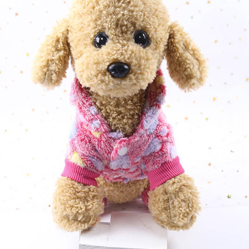 outfits for small dogs