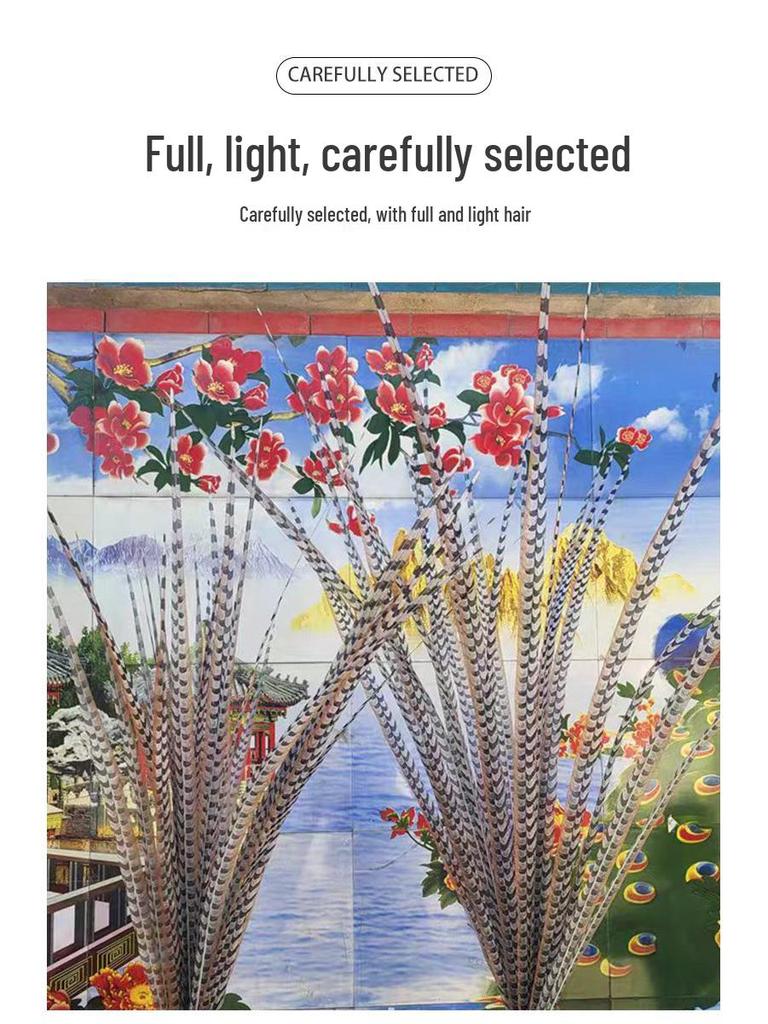 Sun Wukong Pheasant Feather Headdress - Peking Opera Props & Costumes