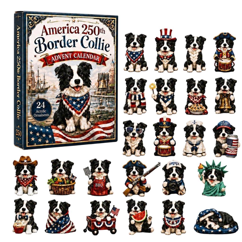 2D Flat Acrylic Airplane-Shaped Display Box for Puppy Independence Day
