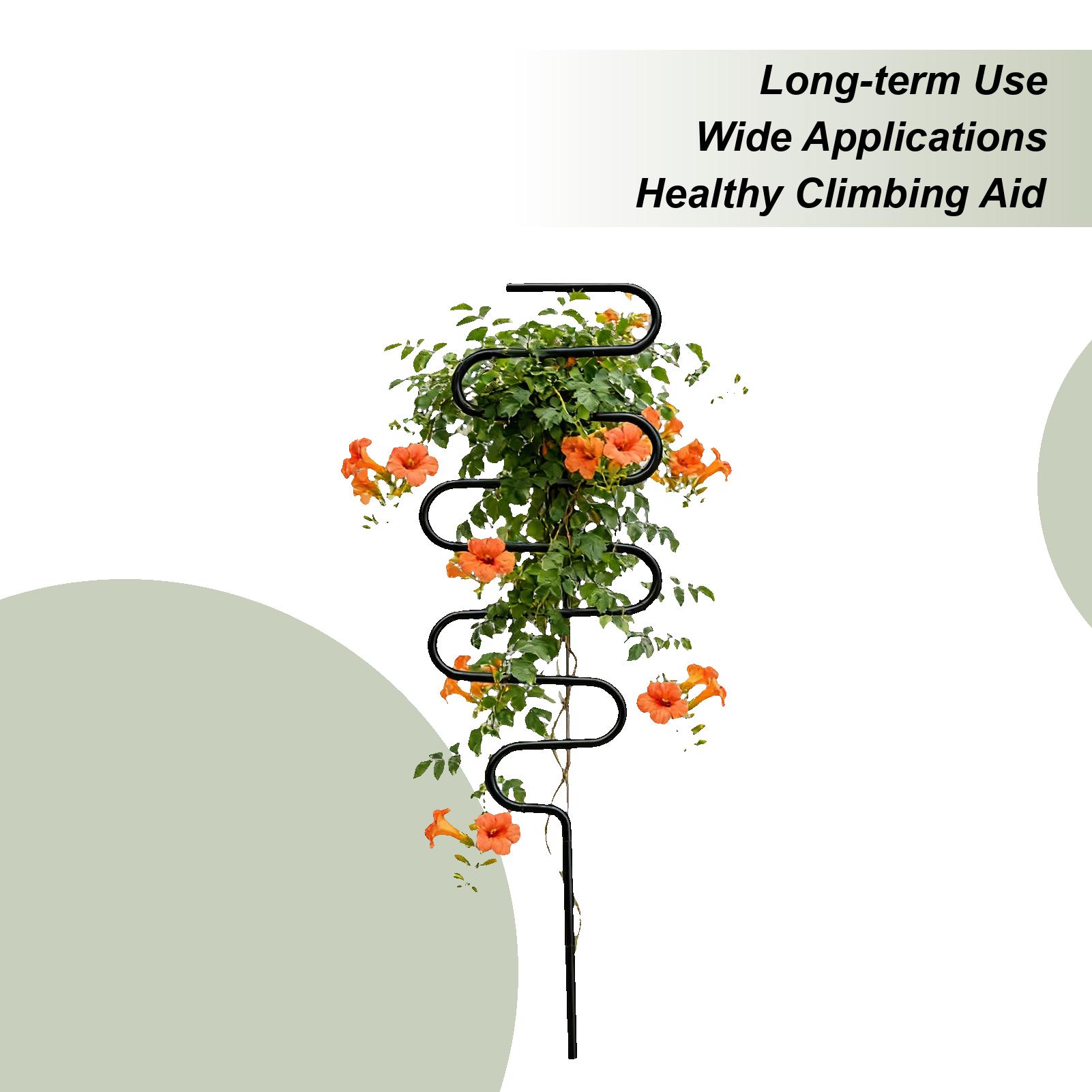 

Plant Climbing Frame Plant Support Stakes Metal Stacked Plant Support Rack Garden Metal Trellis Climbing Vine Flower Stand China Mainland