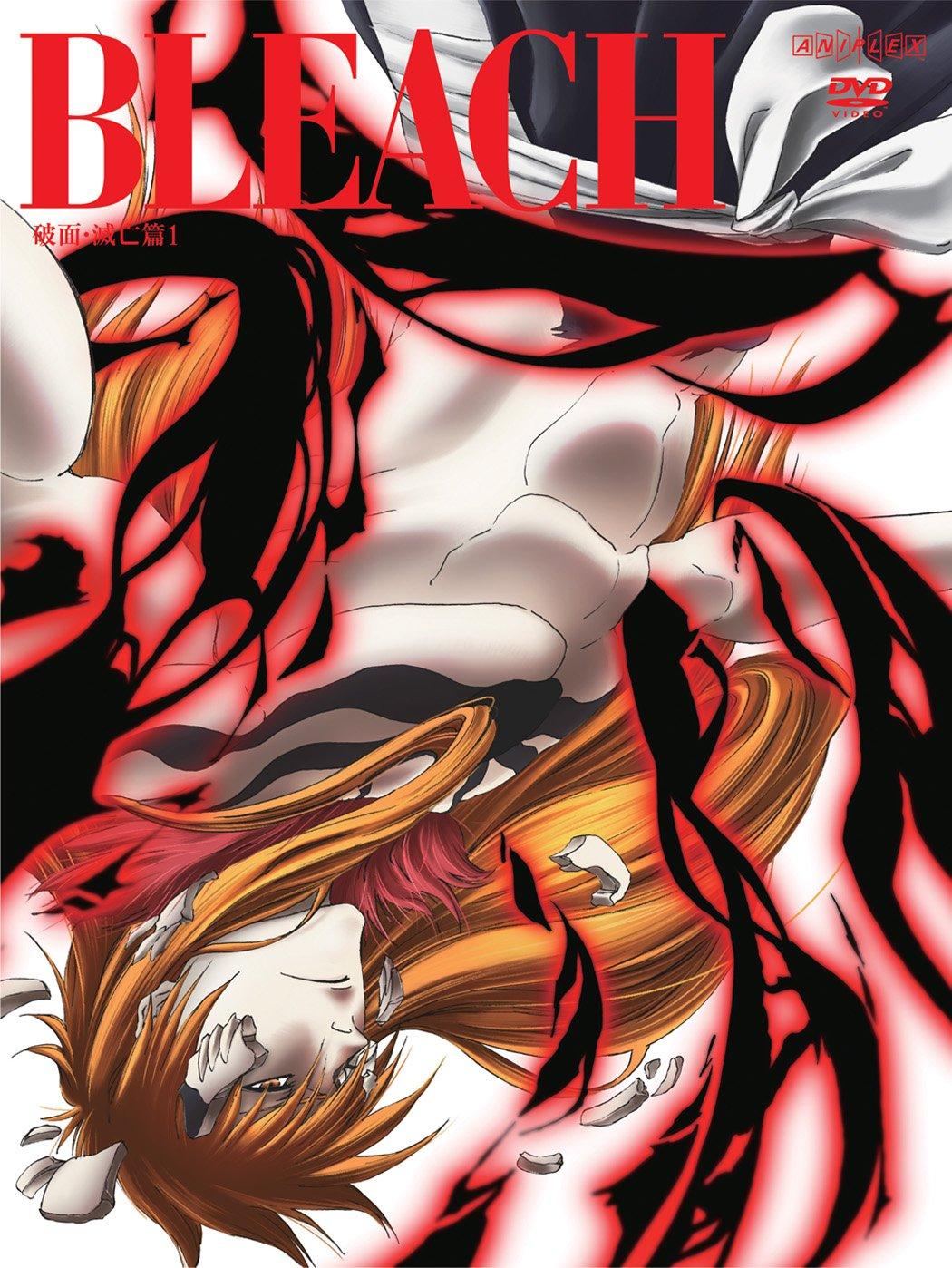 

BLEACH Edition 1 Production Hamen/Destruction [Limited Edition] [DVD]
