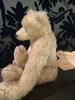 [USED] teddy bear