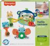 Fisher Price Exciting with the Five Toy Set 3 3 GWT73 Senses! ~From months~ See, hear, touch! [From months]