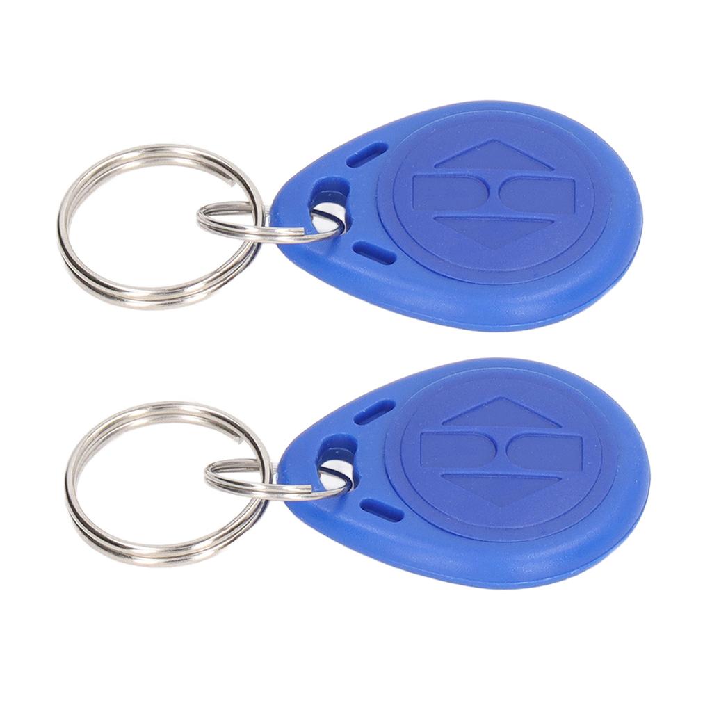 100 pezzi RFID portachiavi portachiavi leggibile porta controllo accesso tag token per appartamento residenziale