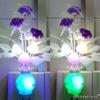Led Işıklar – Led Gece Lambaları