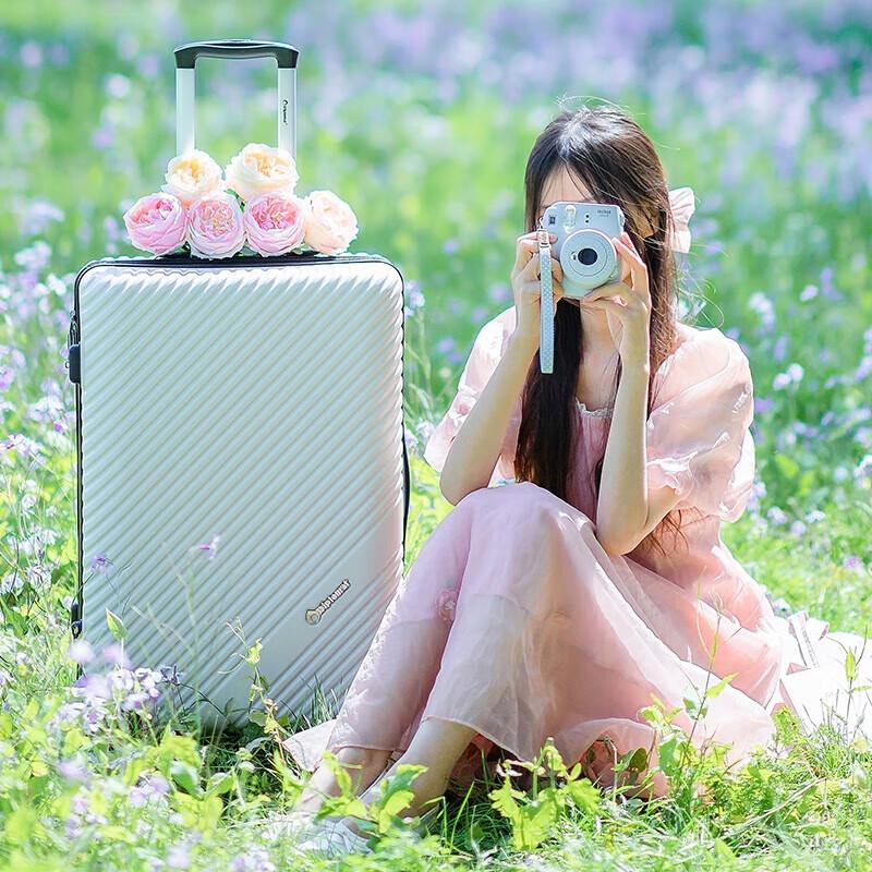 Diplomat Cloud Travel Suitcase
