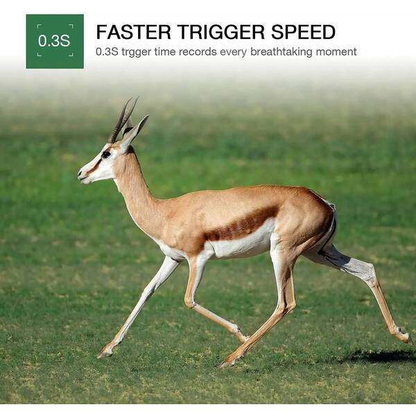 4K Live Video Jagd-Trailkamera APP Bluetooth-Steuerung Wildkameras 30MP Nachtsicht iP66 Fotofallen WIFI801PRO