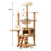 All-Season Double Space Capsule Cat Tree