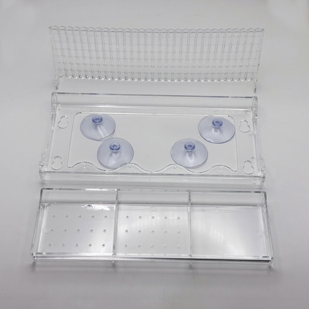 Průhledné krmítko pro ptáky, odolné proti dešti, krmítko pro ptáky, krmítko pro krmení, pozorování, krmítko pro pamlsky pro divoké ptáky