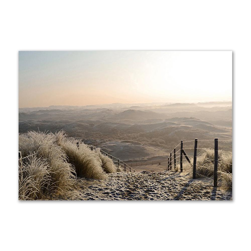 Forest Scenery Poster Prints Nature Landscape Sunlight Grassland Canvas Painting Wall Art Picture for Home Decor Painting Art
